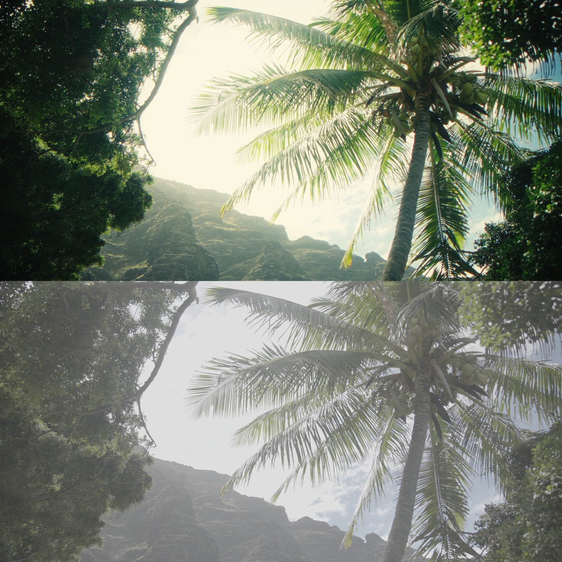 Creator LUT Pack